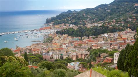 trasgressione chiavari|Chiavari, Town in Liguria, Italy